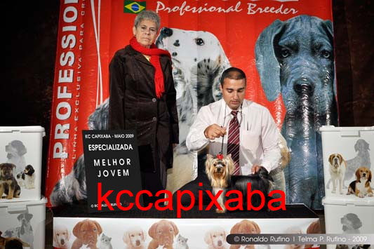 Clique sobre a foto para fechar